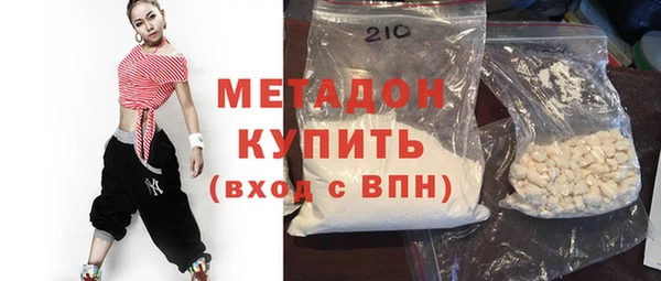 хмурый Аркадак