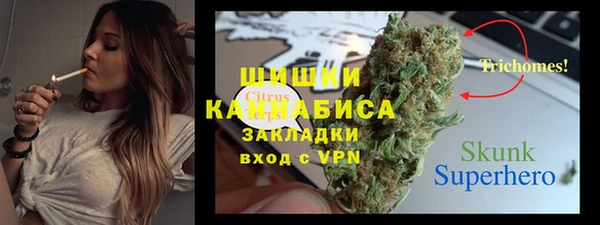 спайс Арсеньев