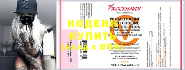 хмурый Аркадак
