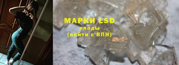 хмурый Аркадак