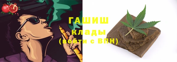 хмурый Аркадак