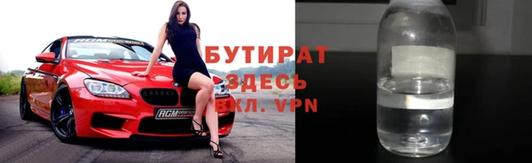 хмурый Аркадак