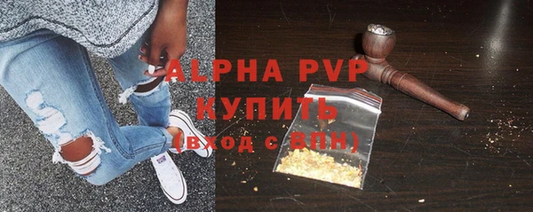 спайс Арсеньев