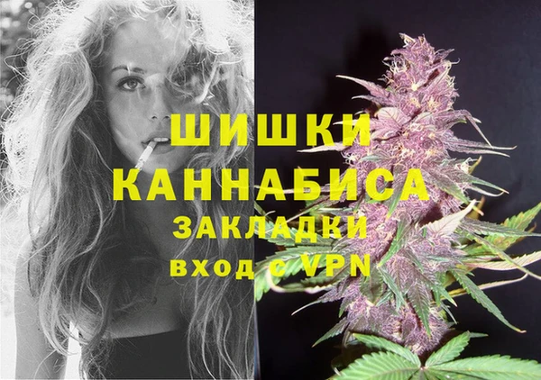 хмурый Аркадак