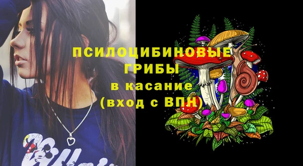 спайс Арсеньев