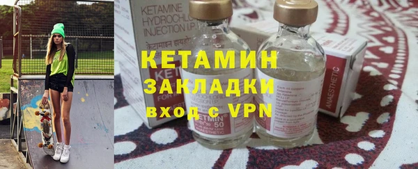 хмурый Аркадак