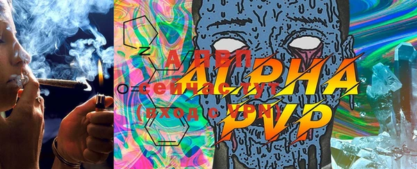спайс Арсеньев