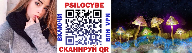 Галлюциногенные грибы Cubensis Сертолово